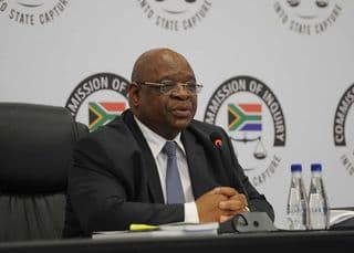 State capture report public who