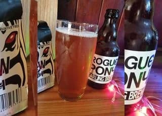 South African craft beer review Darling Brew Rogue Pony