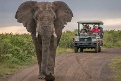 Kruger National Park to be upgraded