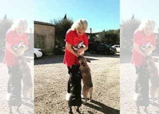 Lady Gaga’s dog walker shot, F
