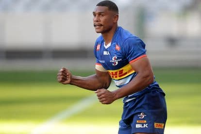 Stormers Damian Willemse