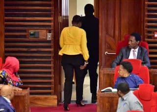 Tanzania Parliament MP