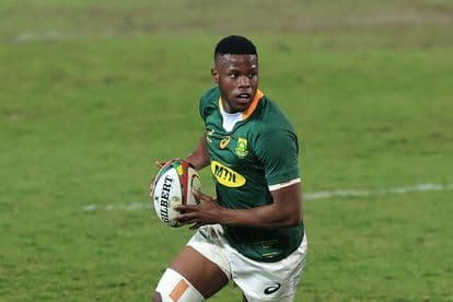 Aphelele Fassi on Springbok debut. Photo: David Rogers/Getty Images)