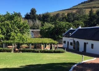 Historic Stellenbosch wine est