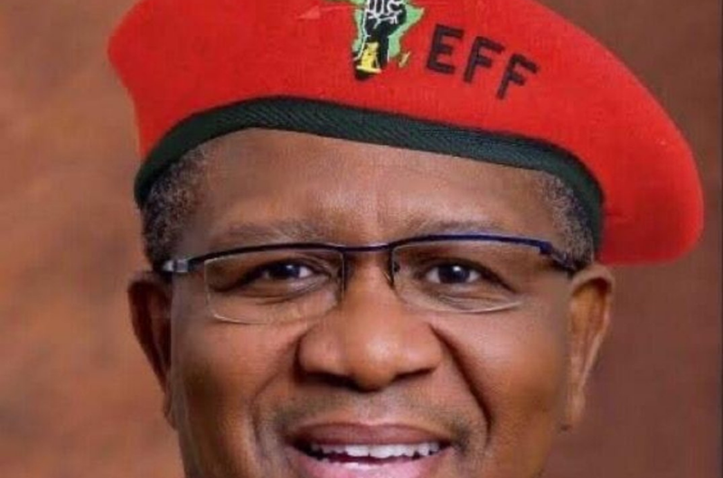 Fikile Mbalula vote EFF
