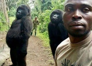 Ndakasi: Famous ‘selfie gorill