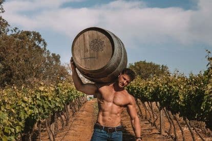 ‘Full-bodied’: CPT viticulturi