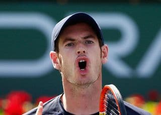 Andy Murray Australian Open