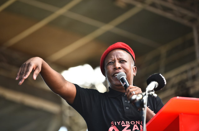 EFF leader Julius Malema