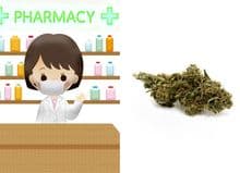 Cannabis, weed, ganja, dagga, new pharmacy, cannabis pharmacy, THC pharmacy, South African cannabis pharmacy, legal cannabis pharmacy