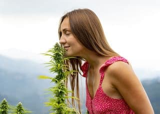 420 is the day people around the world celebrate their love of smoking marijuana.