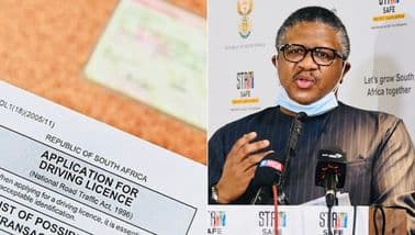 Driver’s licence renewals, renew driver’s licence, Minister of Transport Fikile Mbalula, expired driver’s licences, driver’s licence South Africa