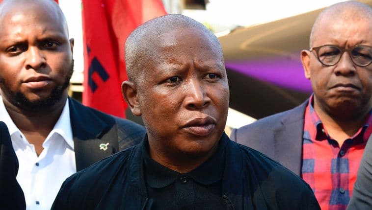 Julius Malema to lead vengeance against the perpetrators news in a minute video