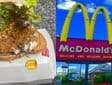 McDonald's, frog, chicken burger