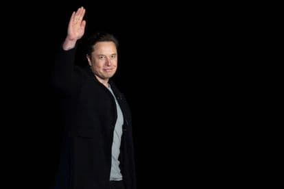 Elon Musk sexual misconduct amber heard