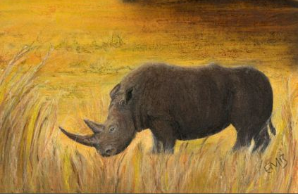 rhinoceros success amazon
