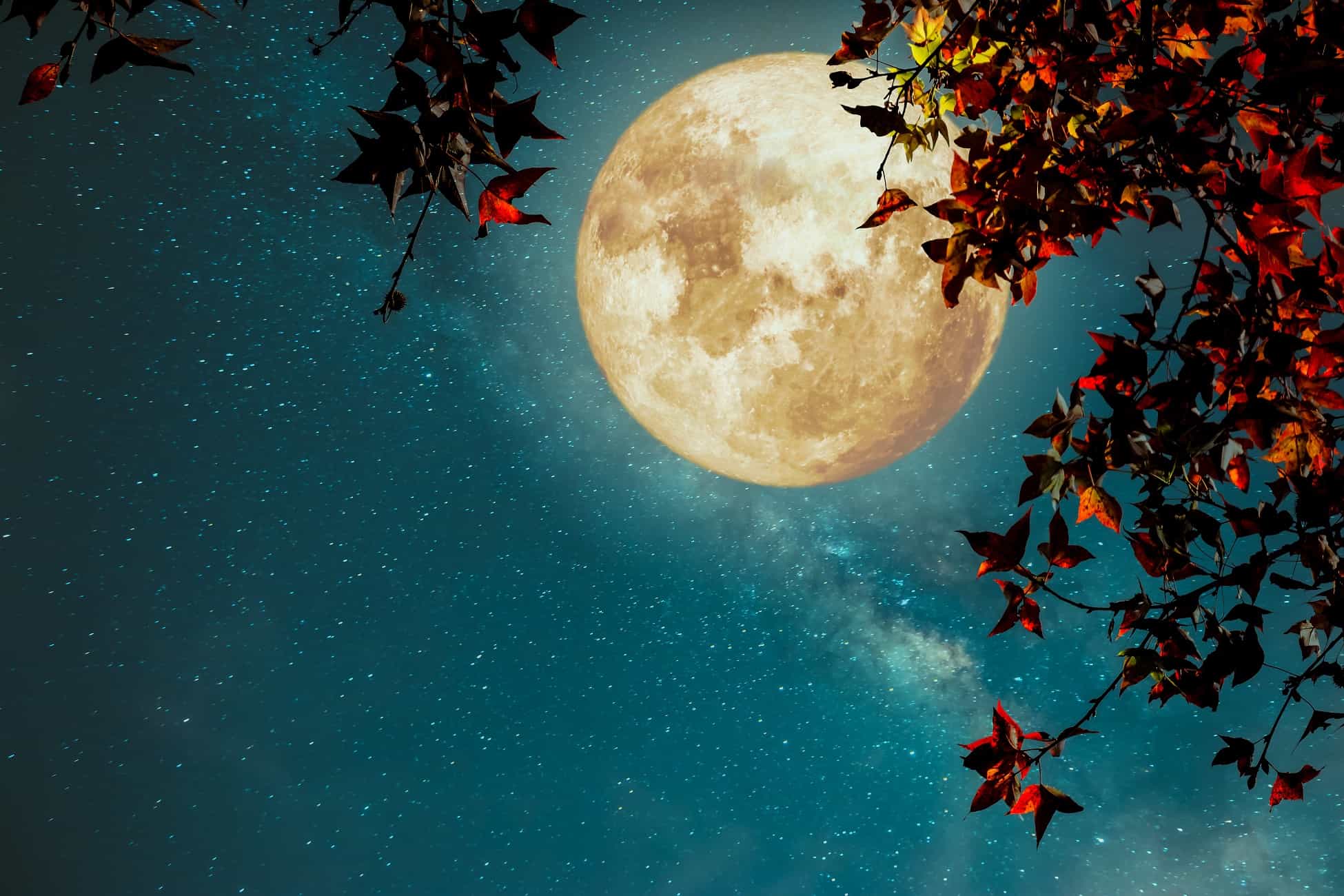 What do you manifest on a harvest full moon?