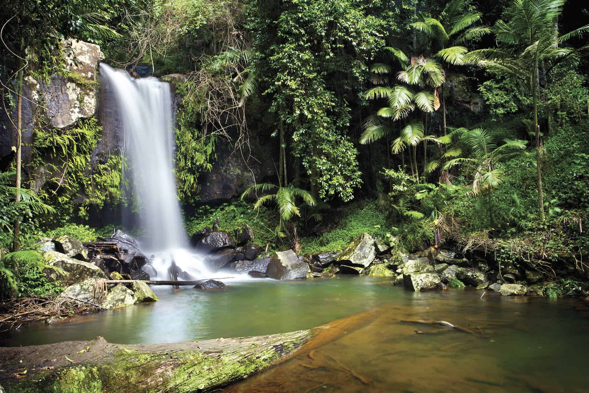 places to visit in gold coast hinterland