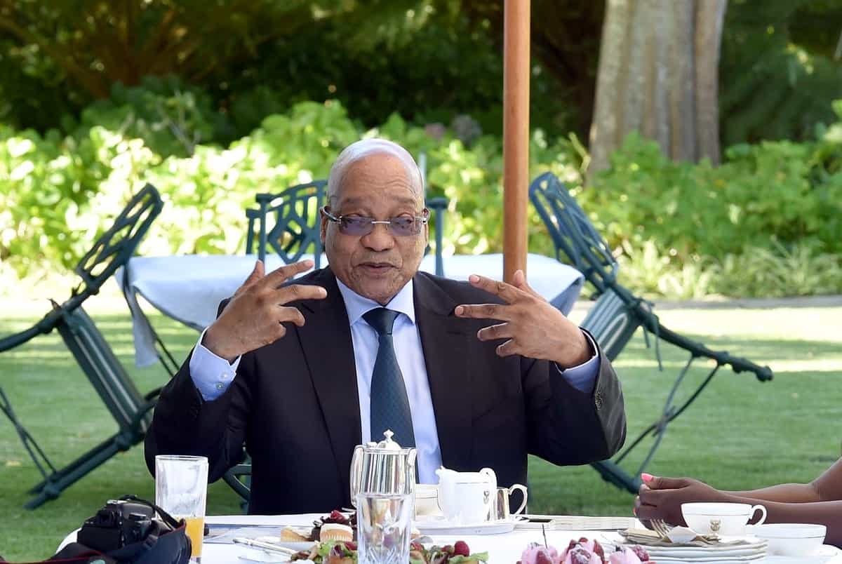 'The devil's pact': Suspicion mounts over Malema, Zuma tea ...